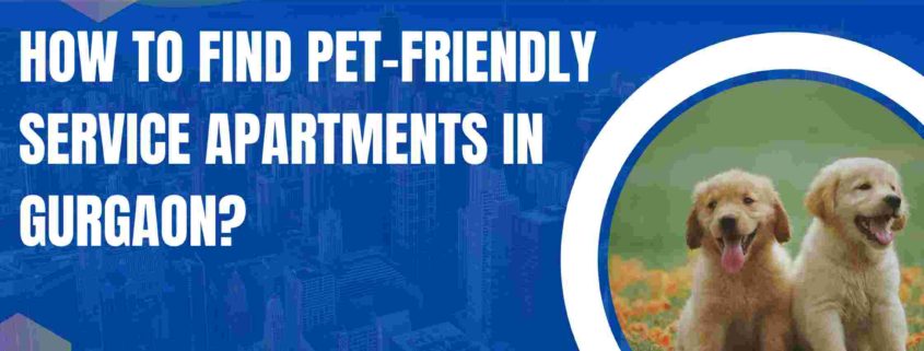 How to Find Pet-Friendly Serviced Apartments in Gurgaon?