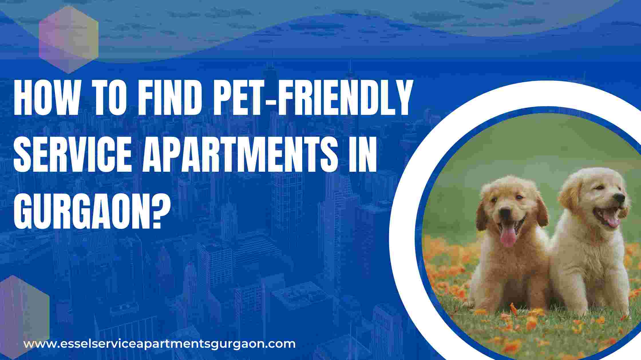 How to Find PetFriendly Serviced Apartments in Gurgaon?